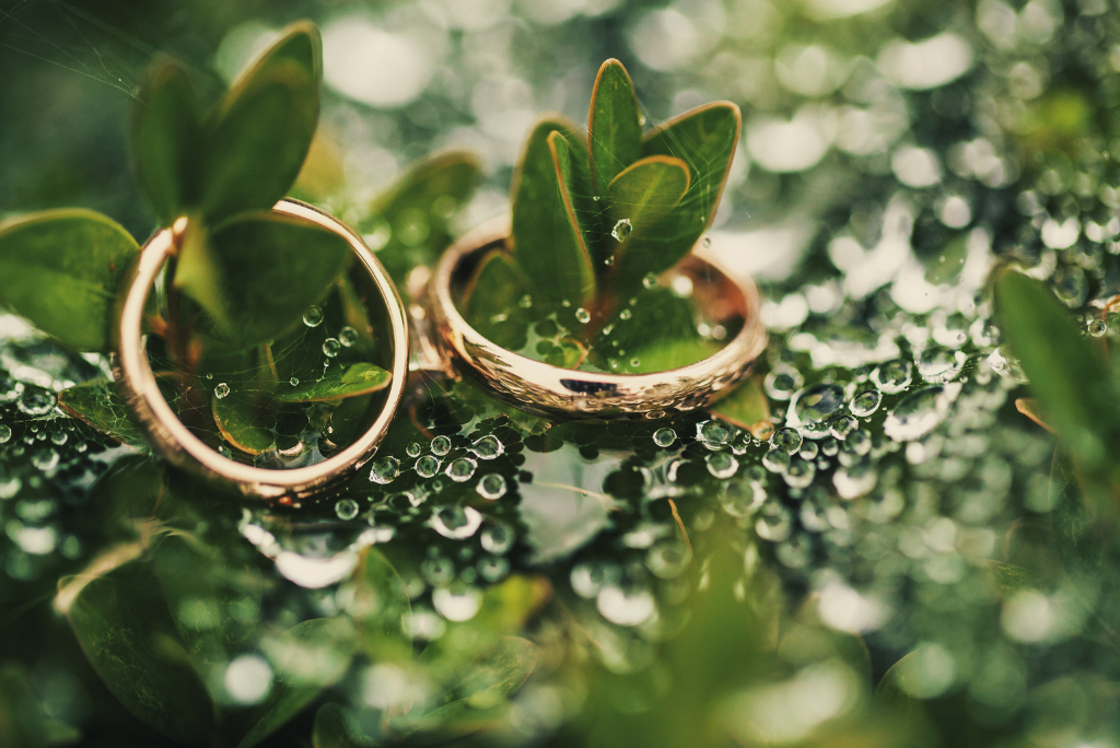 5 nachhaltige Hochzeitsideen für die freie Trauung